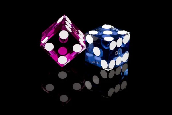 9wiket gaming platform